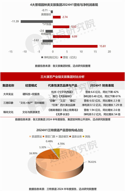 2024上半年文旅集团财务分析报告